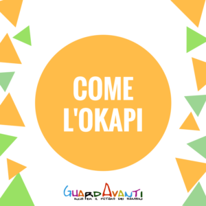 progetto come okapi celim